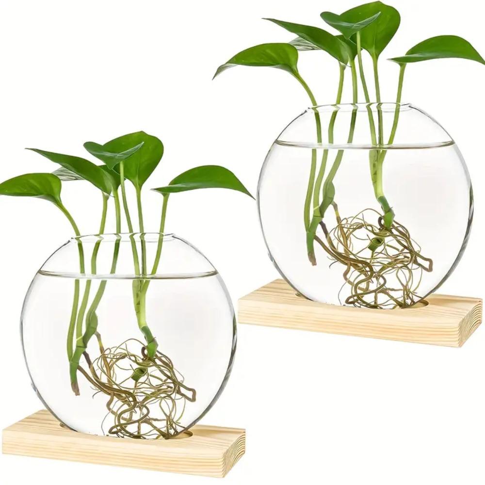 Wooden Stand Round Glass Planters Transparent Glass Plants Glass Vase  Home Decor