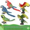 Wild Animal Science Education Parrot Toy: Macaw Model