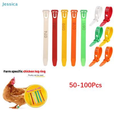 50-100Pcs Numbered Poultry Leg Bands - Colorful Plastic Chicken Leg Rings for Farm Identification