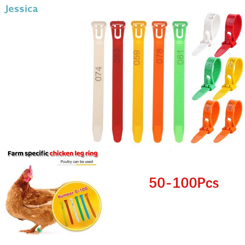 50-100Pcs Numbered Poultry Leg Bands - Colorful Plastic Chicken Leg Rings For Farm Identification