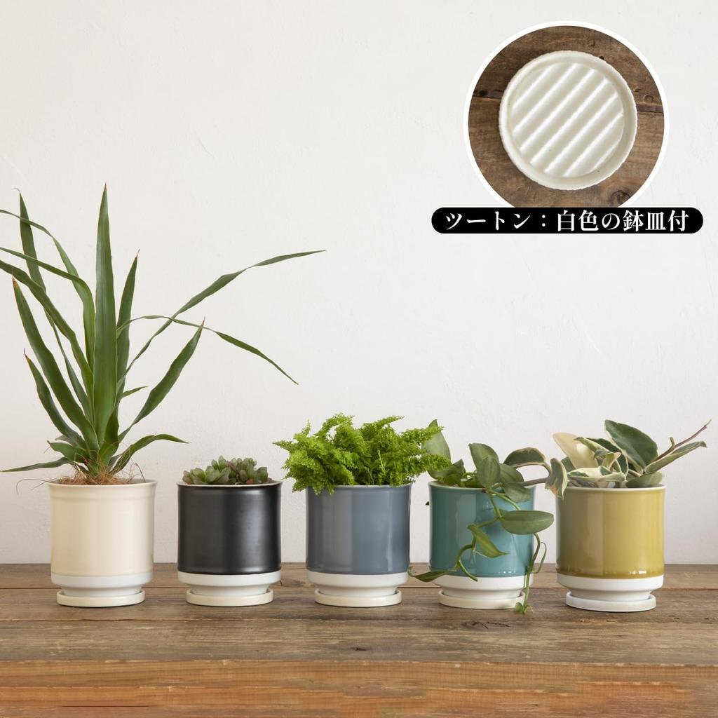 Leaf88 Hasami-Keramik Blumentopf mit Größe und Untertasse, handgefertigt in Japan, 10,5x11,5cm, 3,5 (Senf Weiß)