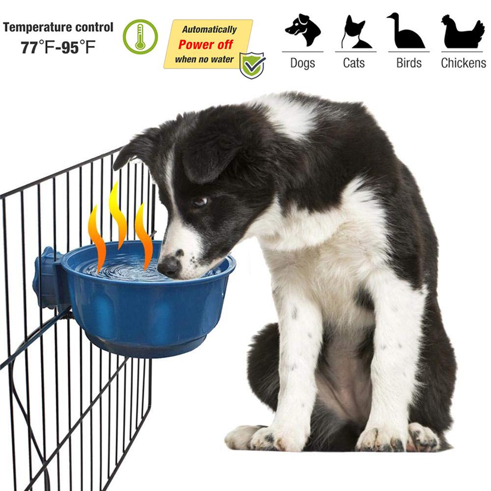 heated pet waterer