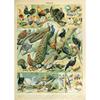 Arte Murale Classica Vintage Piante Fungo Fiore Medicinale Insetto Farfalla Verdura Zucca Carota Tela Poster ad Olio e Stampe