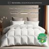 All-Season White Duck Down Duvet (70% Down)
