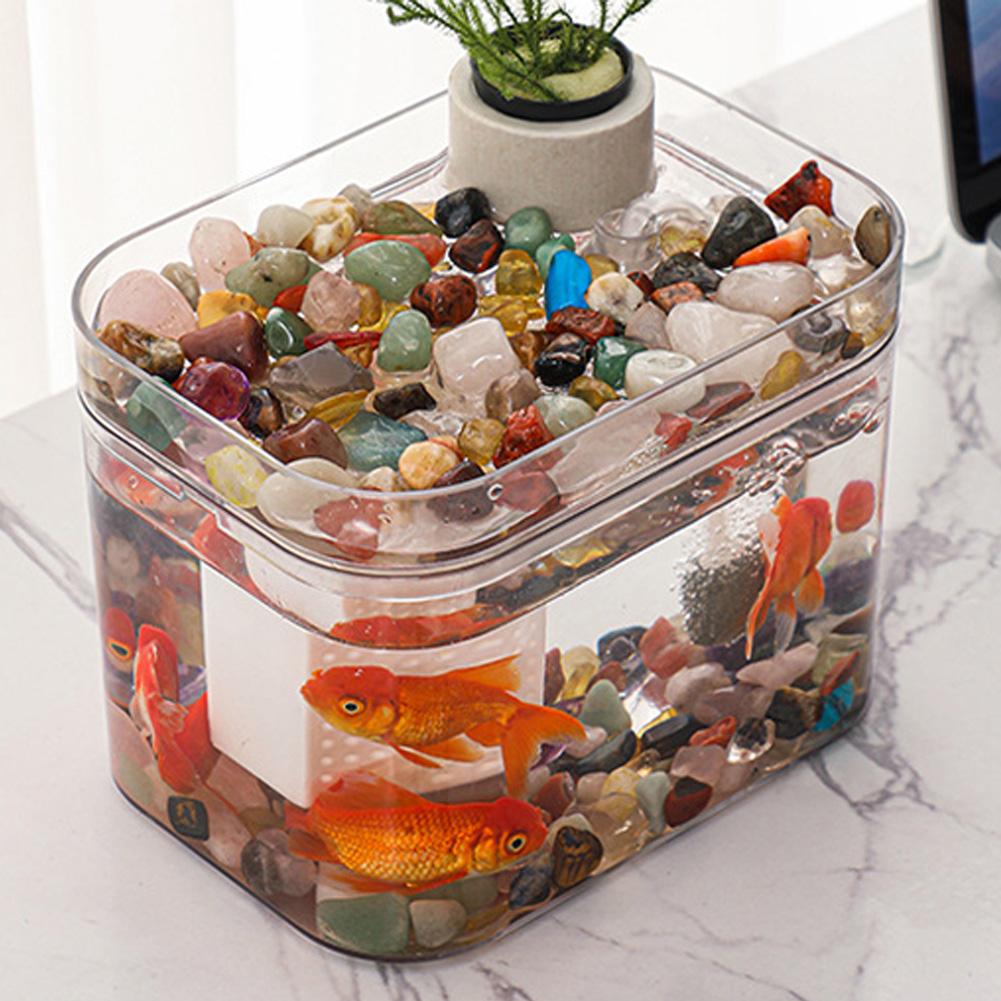 Fish Tank With Lid Small Transparent Fish Tank With USB Air Pump Ecological Aquarium Tanks For Living Room Home Desktop Decor