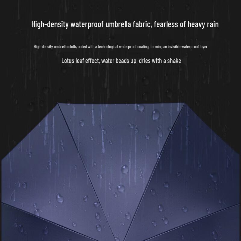 Tiāntáng Semi-Automatic Straight Handle Business Umbrella