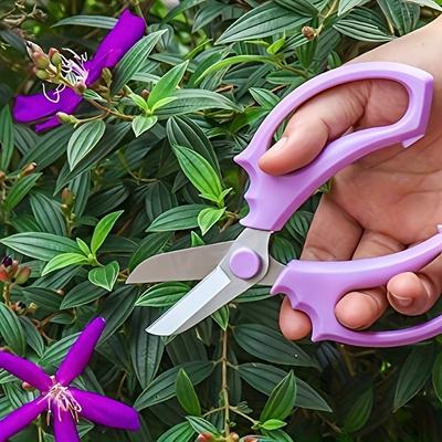 Forbici da Giardino in Acciaio Inossidabile a Lama Larga per Composizioni Floreali e Potatura