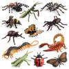 Cross-Border Children's Cognitive Insect Model Toy Set