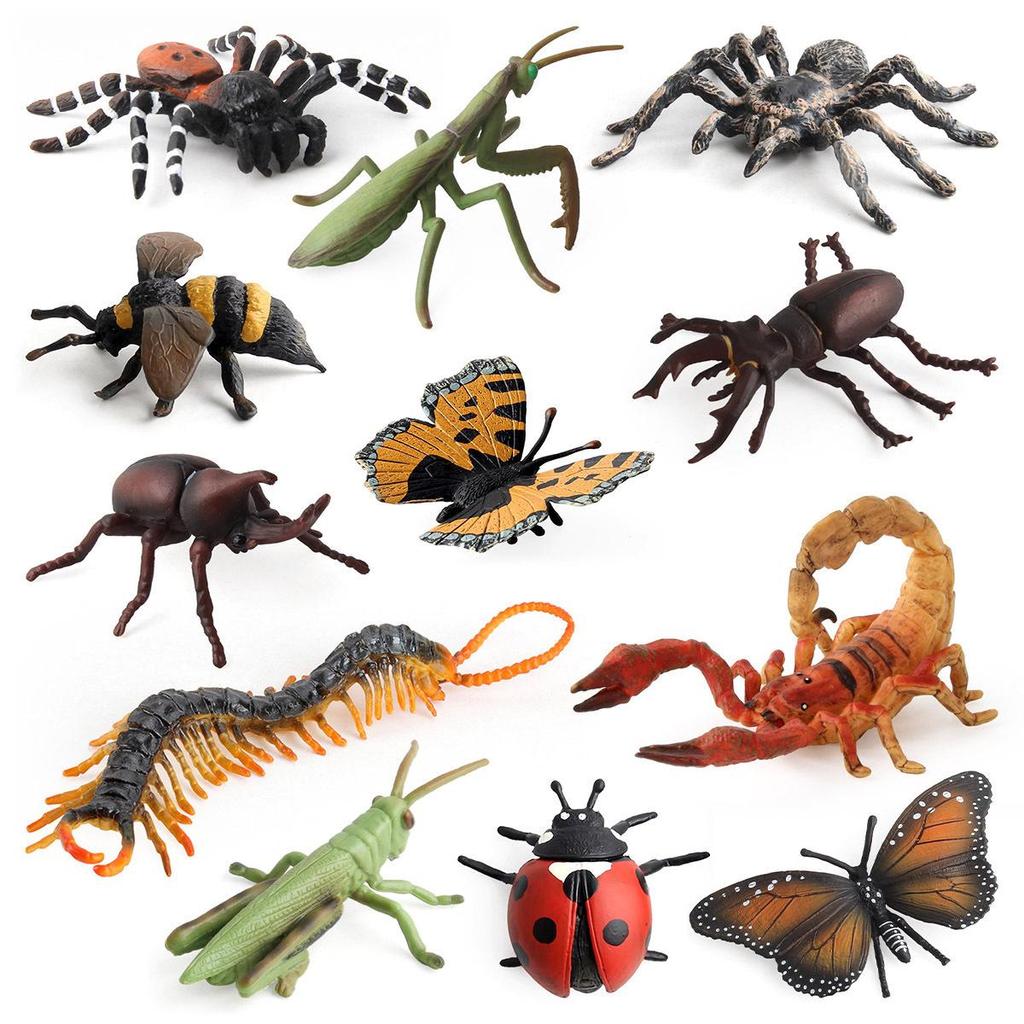 Cross-Border Children's Cognitive Insect Model Toy Set