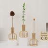 Flower Arranging Test Tube Vase Hollow Frame Removable Tube Decorative Hydroponic Vase Iron Flower Arrangement Vase