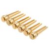 Pack of 6 Acoustic Guitar  Brass Column String Staples  5 Picks Nail Starter