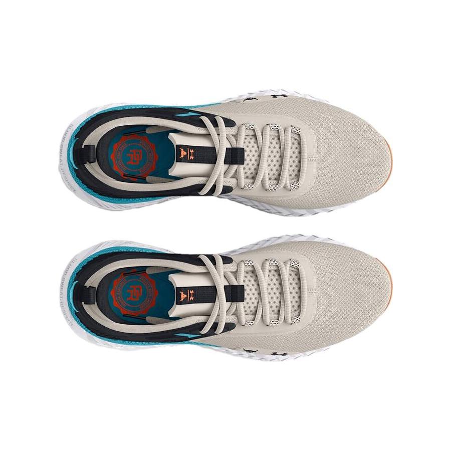 New Under Armour Project Rock 5 'Grey' 3025435-103
