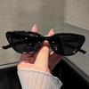 Vintage Cat Eye Women Sunglasses Vintage Small Frame Sun Glasses for Men Luxury  Design Outdoor Eyewear UV400