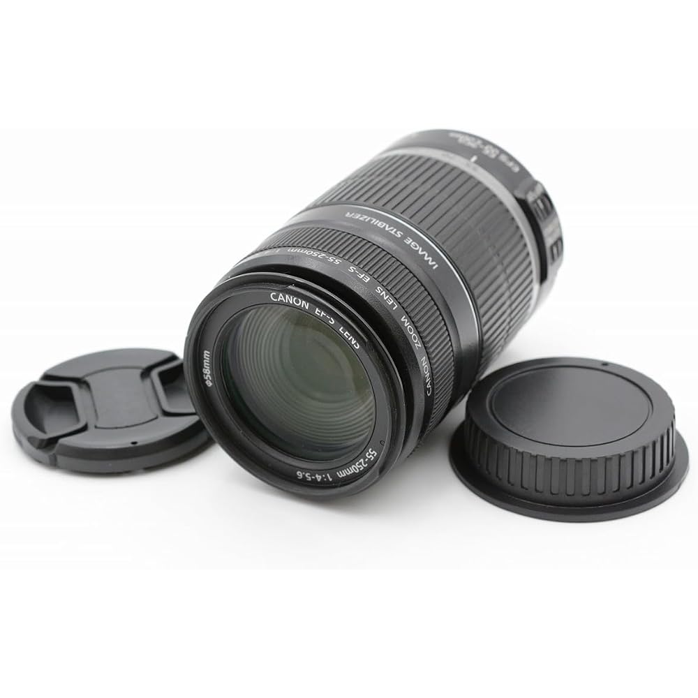 Canon EF-S55-250mm F4-5.6 IS Telephoto Lens, Compatible with APS-C Sensors.