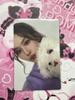 [USED] TWICE Strategy Sana Trading Card Showcase Rare Trading Card Authentic