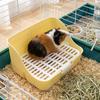 Anti-Tipping Rabbit Toilet Splash-Proof Animal Potty Trainer Pet Toilet Box  Indoor Use
