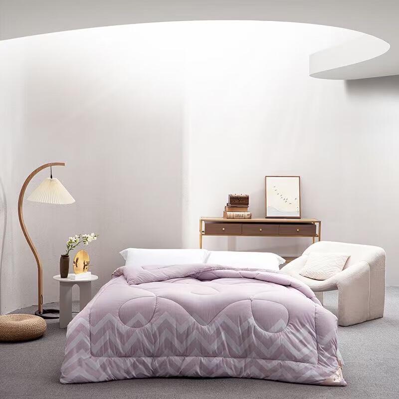 

Mercury Home Textiles Fenmeng All-Season Antibacterial Quilt