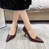2025 spring and autumn new pointed head shallow mouth thin heel simple outer wear temperament high heels single shoes women