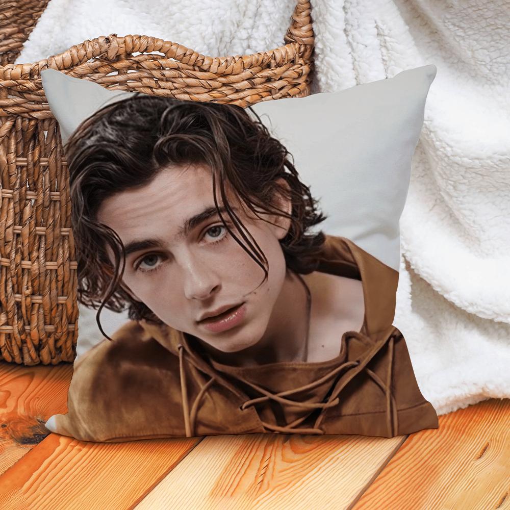 Actor Timothee Chalamet Pillow Case Home Decoration Cushion Cover Suitable For Office Sofa Bedroom Car