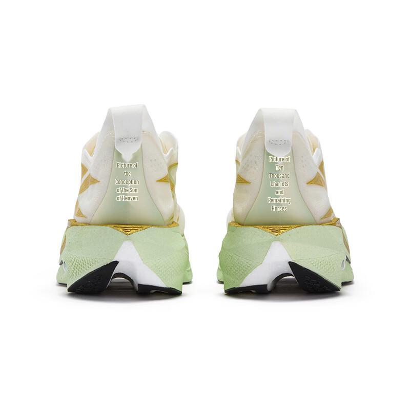 361° Men's Feiran 5 Pro Marathon Racing Carbon Plate Running Shoes