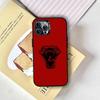 Snake Totem Phone Case For iPhone 17,16,15,14,13,12,11 Plus,Pro Max,XS,Colorful Silver Black Cover