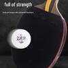 729 Professional Table Tennis Racket