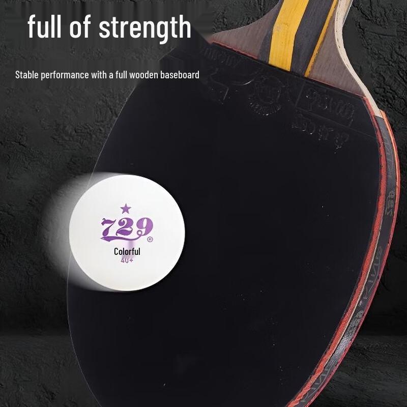 729 Professional Table Tennis Racket