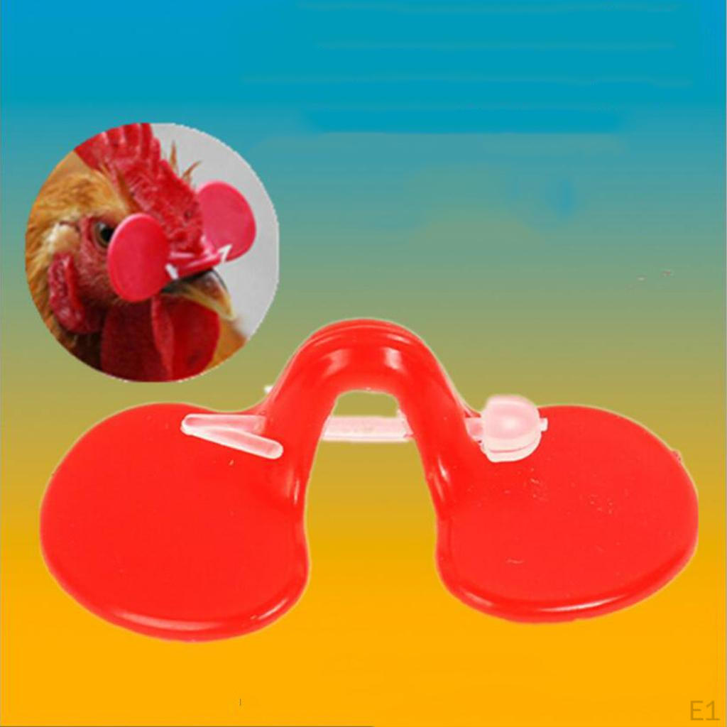 Farma 1000 ks kuřecích brýlí