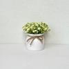 Potted With Pot Artificial Bonsai Plastic Fake Flower Bonsai Desktop Bonsai  Wedding Decoration
