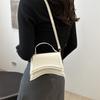 Trendy Minimalist 2024 Summer New Small Square Handbag Stylish Casual Tote Bag