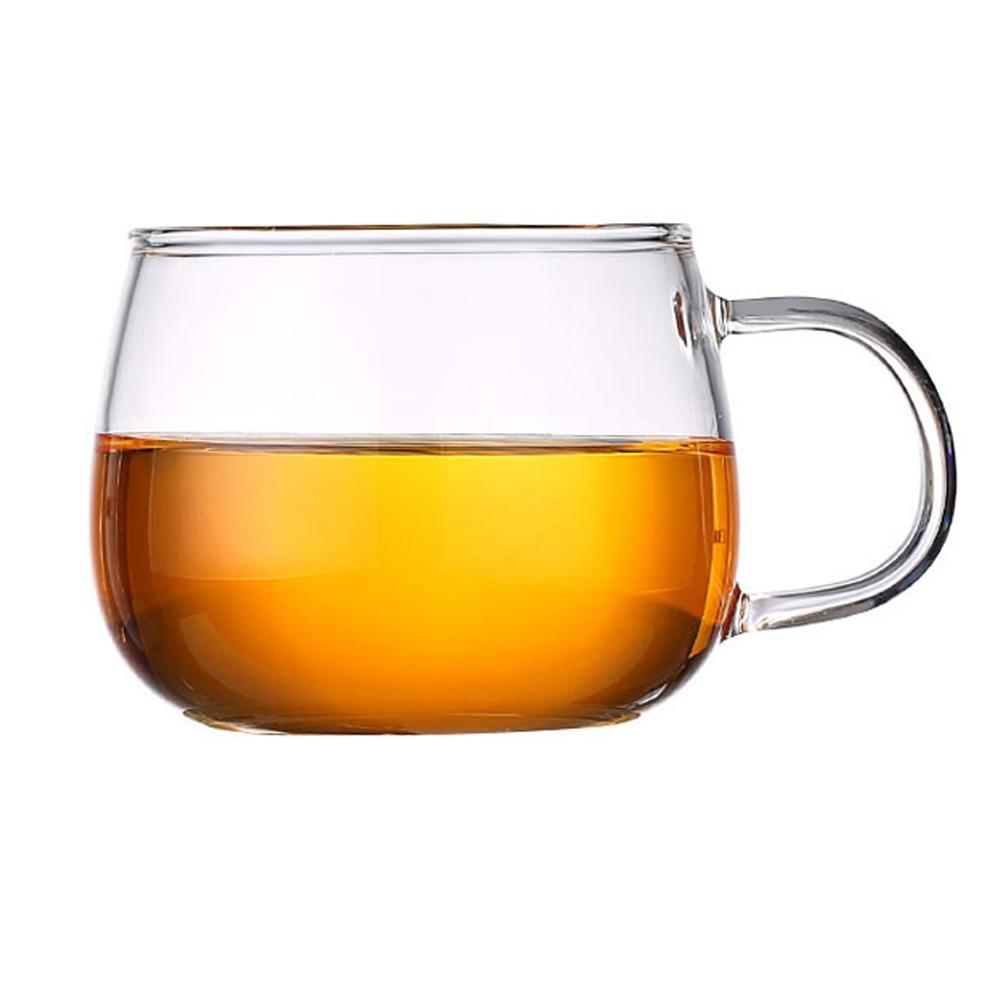 1PCS Glass Teapot with Infuser Borosilicate Tea Cooking Maker Stovetop Safe for Loose Leaf Herbal Tea for Home Travel Outdoor