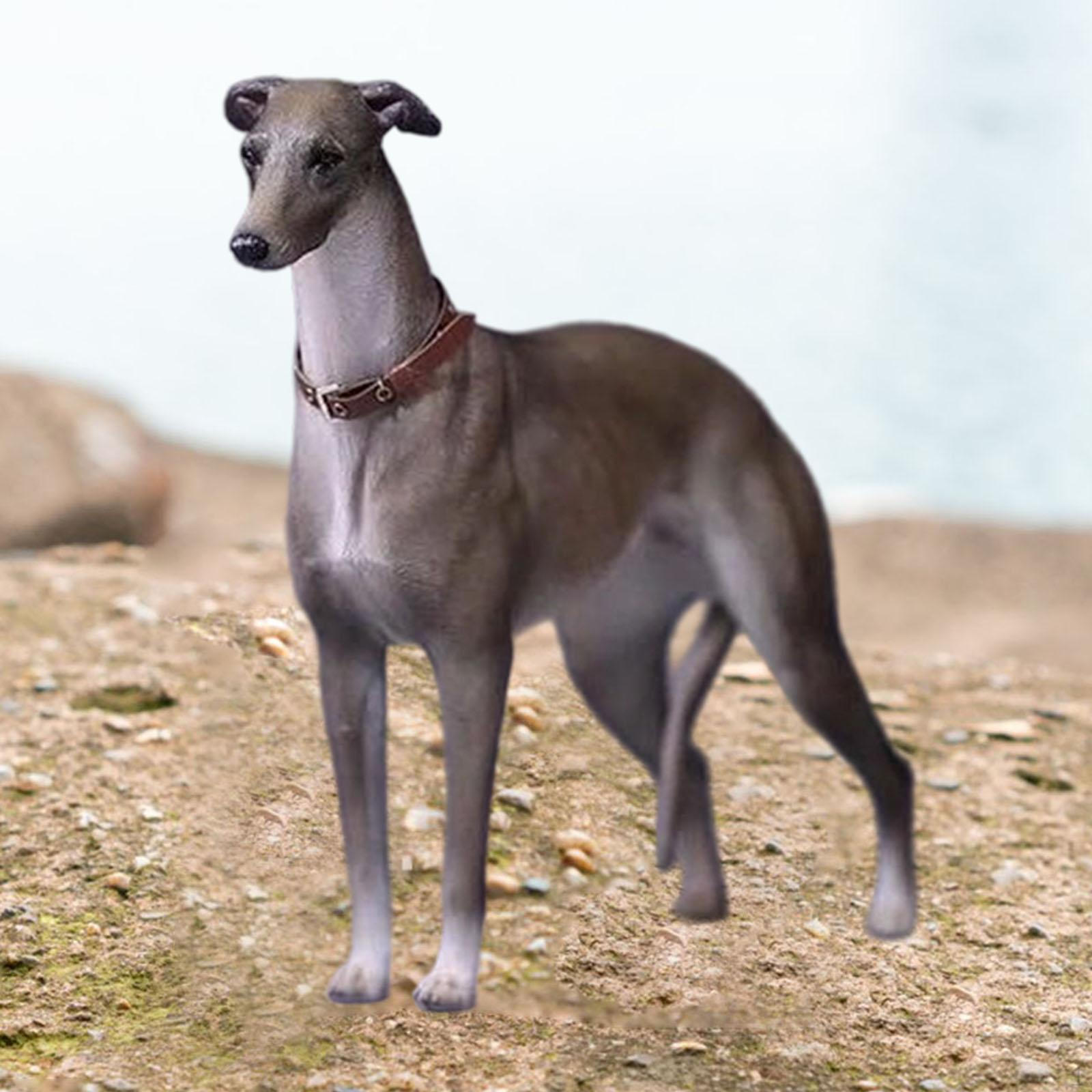 

1:Масштаб 6 Грейхаунд Уиппет Собака, Модель животного, Стоящая, Миниатюрная реалистичная фигурка собаки, Фигурка питомца