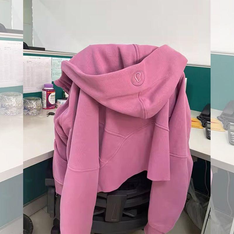 Retro Embroidery Design Hooded Sweatshirt for Women Petite Autumn Short Versatile Elegant Zipper Top