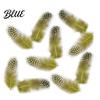 Feather Decorations for Colors 4.5-10cm Natural Chicken Guineahen Feathers Crafts 50Pcs Tail Bright Colored DIY