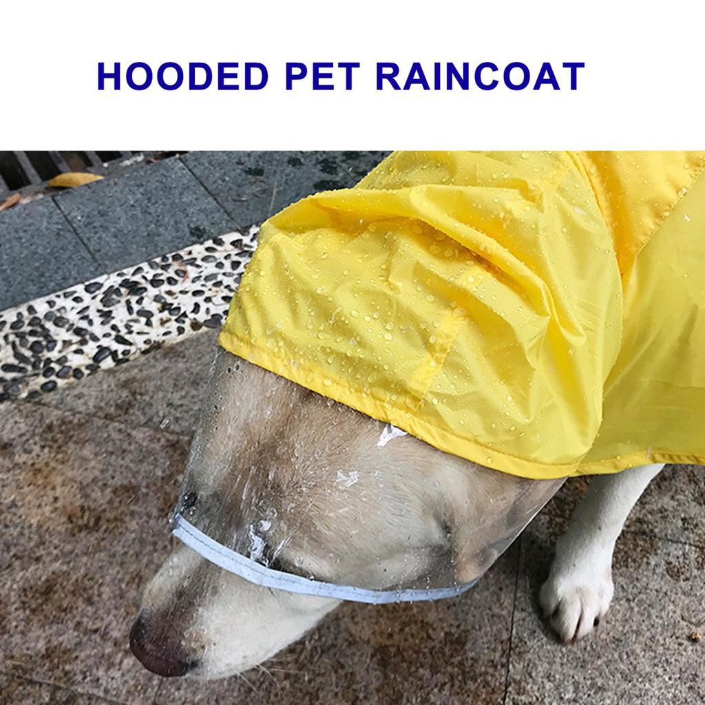 small dog rain coats