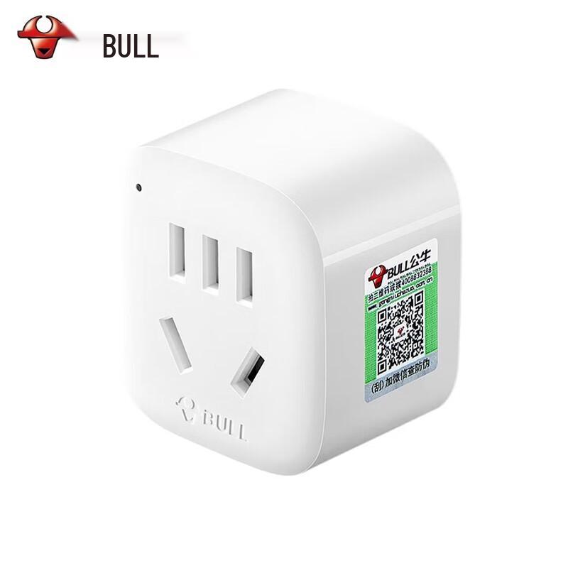 BULL International Travel Power Adapter