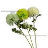 Green Onion Ball Single Stem Chrysanthemum Gift Box Bouquet and Floor Stand Accessories