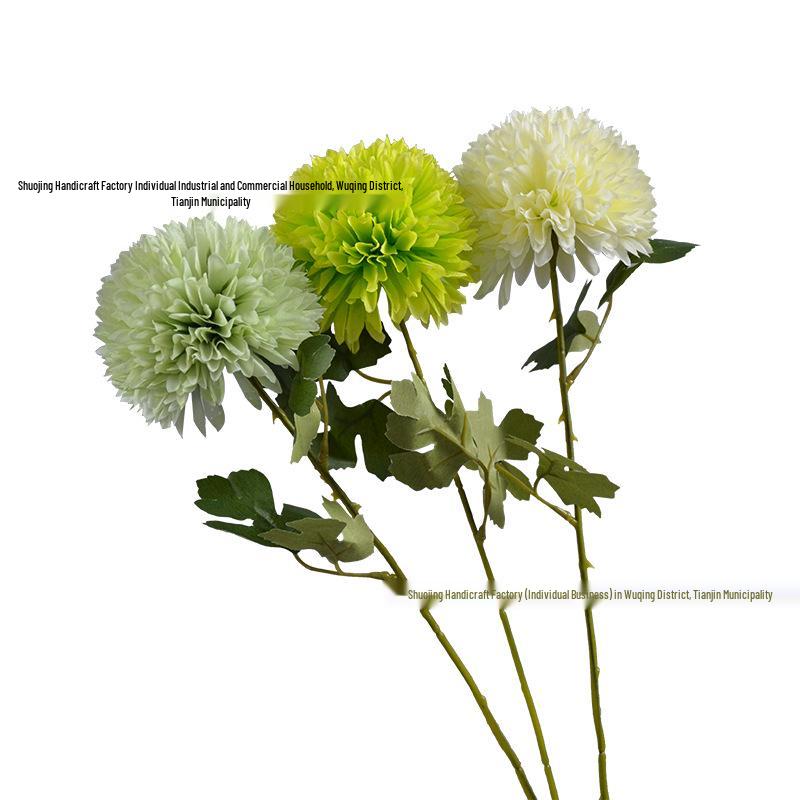Green Onion Ball Single Stem Chrysanthemum Gift Box Bouquet and Floor Stand Accessories