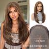 * HD large area lace wig medium black brown long straight hair fashion full hood lace Wig