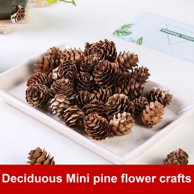 20Pcs Attractive Fake Pine Cone Widely Use Natural Decorative DIY Simulation Pinecone for Festival