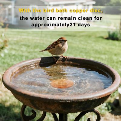 Copper Disk For Bird Bath 2 Pieces Copper Plate For Bird Bath Anti-slip Water Cleaning Tray With Triple Point Support For Garden