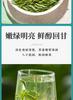 Xiaocha Diary Tea Yellow Tea Huoshan Yellow Sprout Bagged 125g Anhui Spring Tea Drink It Yourself