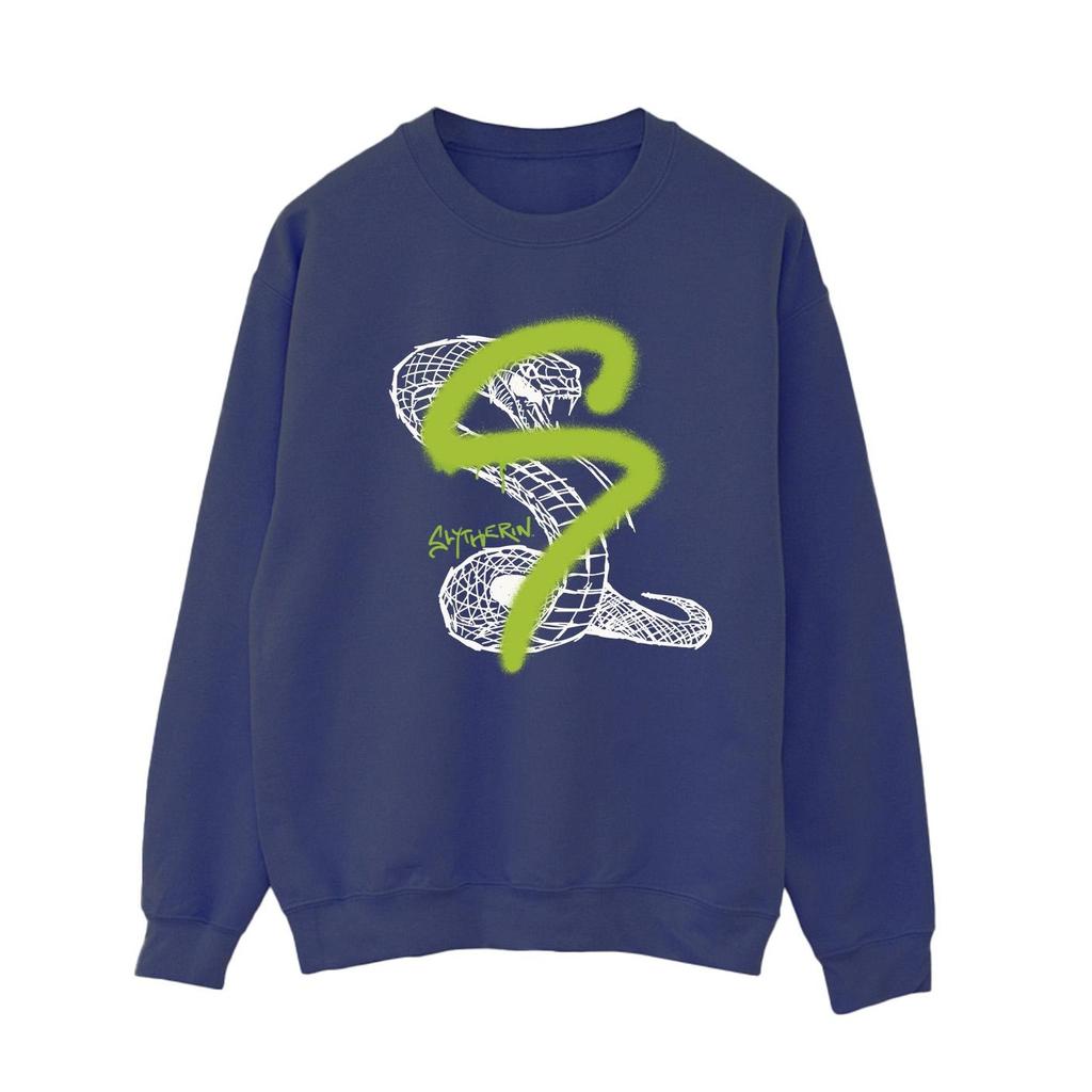 Harry Potter Womens/Ladies Slytherin Pop Spray Sweatshirt