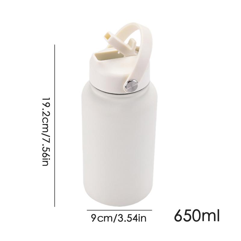 Insulated Water Bottle Double Wall Gym Bottle With Straw And Handle Lid 650ml Outdoor Bottle For Cycling Sports Running