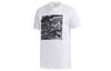 T Shirts Men's White Crew Neck Moderate Straight Fit FM6102