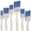 6-Piece Angled Paint Brush Set for Watercolor and Latex Paint - Art and Home Cleaning Tools