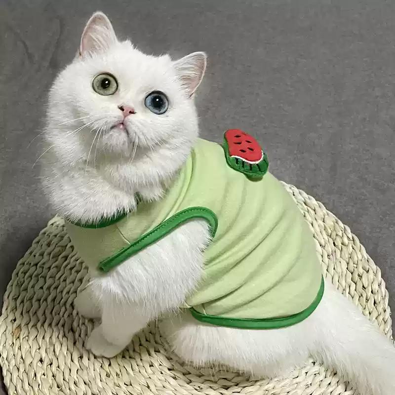 Pet Clothes Cat Vest for Persian Cat Siamese Kitten Spring Autumn Thin Teddy Bear Schnauri Dog Clothes Summer Small Dog Tank Top