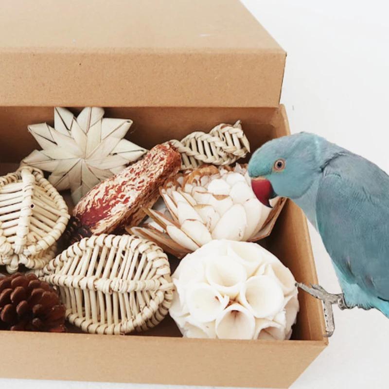 30pcs Lovebirds Parrot Budgies Cage Toy Rattan Climbing Natural Wood Molar Grinding Toy for Parakeets Cockatiel Bird Accessories