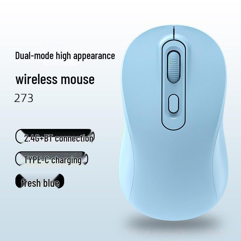 Wireless Bluetooth Dual-Mode Silent Gaming & Office Mouse with Type-C Charging