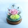 Flor eterna cubierta de vidrio esférico caja de regalo Día de San Valentín Día de la Madre regalo de Navidad flor real de Yunnan flor rosa